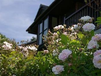 Barclay House Cottages 루 외부 사진